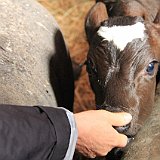 Costa Rica20150406-1557-1114